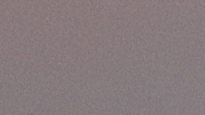 Zapopan, Jalisco, 8 de marzo de 2025. , durante el partido correspondiente a la jornada 11 del torneo Clausura 2025 de la Liga BBVA MX, entre las Chivas Rayadas del Guadalajara y las Águilas del América, realizado en el estadio Akron. Foto: Imago7/ Juan Carlos Cubeyro.