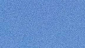 Zapopan, Jalisco, 8 de marzo de 2025. , durante el partido correspondiente a la jornada 11 del torneo Clausura 2025 de la Liga BBVA MX, entre las Chivas Rayadas del Guadalajara y las Águilas del América, realizado en el estadio Akron. Foto: Imago7/ Jair Terán