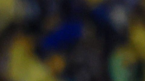 Ciudad de México, 12 de marzo de 2025. Brian Rodríguez en festejo de gol, durante el partido de vuelta de los octavos de final de la Champions Cup de la CONCACAF 2025, entre las Águilas del América y las Chivas Rayadas del Guadalajara, celebrado en el estadio Ciudad de los Deportes. Foto: Imago7/ Eloisa Sánchez