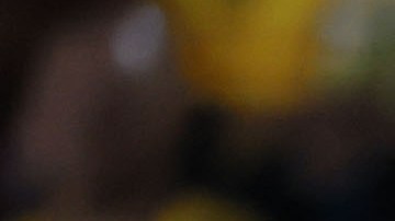 Ciudad de México, 12 de marzo de 2025. André Jardiné, director técnico, durante el partido de vuelta de los octavos de final de la Champions Cup de la CONCACAF 2025, entre las Águilas del América y las Chivas Rayadas del Guadalajara, celebrado en el estadio Ciudad de los Deportes. Foto: Imago7/ Eloísa Sánchez