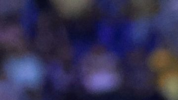 Alejandro Zendejas tiene seis goles en la temporada.