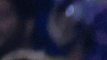 Ciudad de México, 12 de marzo de 2025. Afición en conato de bronca, durante el partido de vuelta de los octavos de final de la Champions Cup de la CONCACAF 2025, entre las Águilas del América y las Chivas Rayadas del Guadalajara, celebrado en el estadio Ciudad de los Deportes. Foto: Imago7/ Eloísa Sánchez