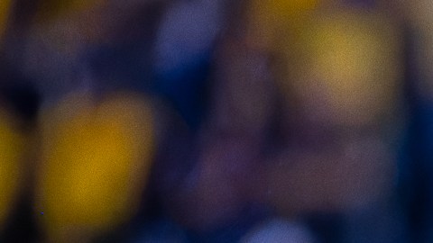 Las Chivas quedaron eliminadas de la Concachampions.