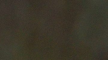 Pizarro ganó tres títulos con las Chivas de Guadalajara.