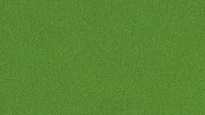 Olegario Vázquez Raña junto a Saúl Álvarez, a quien le entregó el Premio Nacional del Deporte en el 2018.