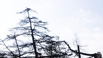 Así lucen algunas zonas devastadas por los incendios forestales en California