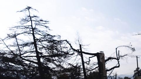 Así lucen algunas zonas devastadas por los incendios forestales en California