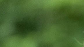 Joe Biden, expresidente estadounidense