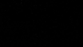 Al ser vistos, los asistentes comenzaron a vitorearlos, aplaudirlos y a gritar con entusiasmo.