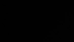 José Benavídez Sr.