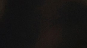 El Servicio de Inmigración y Control de Aduanas dijo que seguirá investigando a personas involucradas en actividades de apoyo a Hamás.