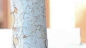 (FOTOS) Justin Bieber luce agotado tras salir de un spa en West Hollywood