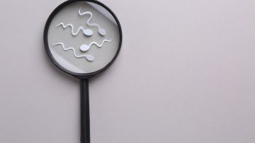 La calidad del esperma está relacionada con una vida más larga: por qué