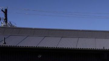 La furgoneta Volkswagen celebra 75 años de historia