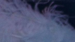 Lucía Méndez Dulce