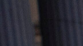 Tras su detención, Khalil estaría bajo amenaza de deportación de Estados Unidos.