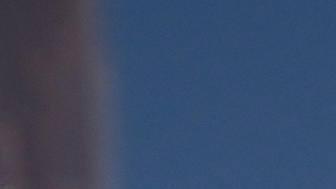 El arresto de Khalil ha sido vinculado a la promesa de Donald Trump de reprimir a los manifestantes estudiantiles a los que acusa de "actividad antiamericana".