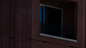 En total fueron unas 250 personas los manifestantes en el centro de LA.