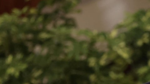 Marco Rubio, secretario de Estado