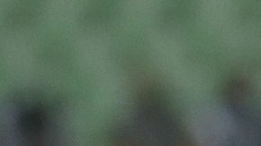 Publicación: Mar. 14 2025 Fotógrafo: Archivo/ Alejandro Garza Lugar: TORREÓN, Coahuila Formato: 1500 x 1000 JPG Documento: 477.0 KB Folio: 2525756