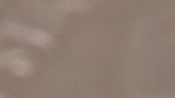 Moneda de Wisconsin del 2004