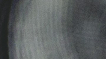 Monedas de 10 centavos de 1982