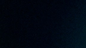 Musk minimizó los despidos de empleados federales y aseguró que casi nadie ha sido despedido.