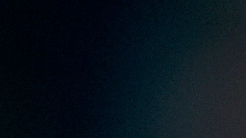 Musk minimizó los despidos de empleados federales y aseguró que casi nadie ha sido despedido.