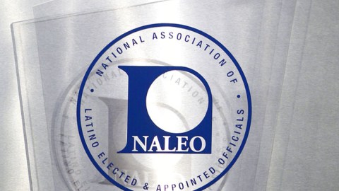 Asociación Nacional de Funcionarios Latinos Electos y Designados (NALEO)