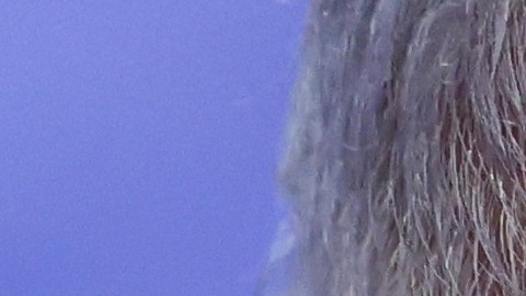 Netanyahu anuncia que va a destituir al jefe del Shin Bet.