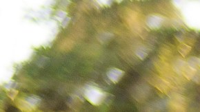 Dave Stone toma fotos del carro de Jim Salazar.