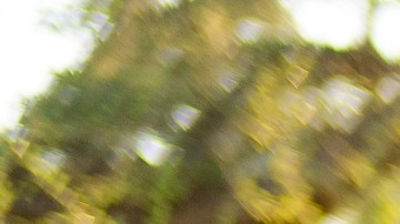 Dave Stone toma fotos del carro de Jim Salazar.