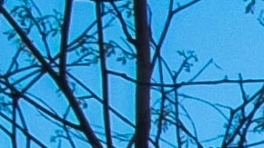 FILE - In this April 13, 2014 file photo, the Internal Revenue Service Headquarters (IRS) building is seen in Washington. Thieves used an online service provided by the IRS to gain access to information from more than 100,000 taxpayers, the agency said Tuesday. The information included tax returns and other tax information on file with the IRS. The IRS said the thieves accessed a system called "Get Transcript." In order to access the information, the thieves cleared a security screen that required knowledge about the taxpayer, including Social Security number, date of birth, tax filing status and street address. (AP Photo/J. David Ake, File)