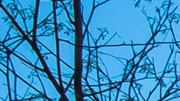 FILE - In this April 13, 2014 file photo, the Internal Revenue Service Headquarters (IRS) building is seen in Washington. Thieves used an online service provided by the IRS to gain access to information from more than 100,000 taxpayers, the agency said Tuesday. The information included tax returns and other tax information on file with the IRS. The IRS said the thieves accessed a system called "Get Transcript." In order to access the information, the thieves cleared a security screen that required knowledge about the taxpayer, including Social Security number, date of birth, tax filing status and street address. (AP Photo/J. David Ake, File)