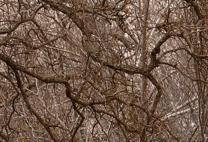 Los incendios provocaron evacuaciones en medio de condiciones climáticas extremas durante el fin de semana.