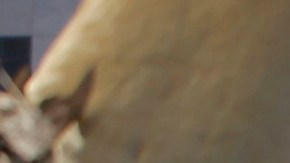 A newly displaced homeless camp is seen while Los Angeles Police officers guard a Harbor Freeway ramp during the visit of President Donald Trump in Los Angeles, Tuesday, Sept. 17, 2019. Trump began a California visit on Tuesday, saying he will do "something" about homelessness but offering no specifics beyond the mention of creating a task force. (AP Photo/Damian Dovarganes)