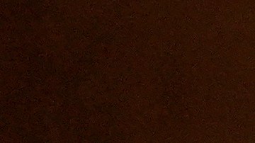 El Dr. Peter Marks era el director del Centro de Evaluación e Investigación Biológica de la Administración de Alimentos y Medicamentos.