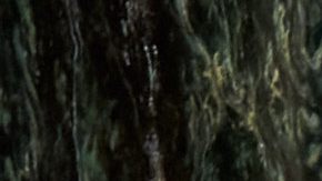 Marqueece Harris-Dawson, presidente del Concejo Municipal de LA>