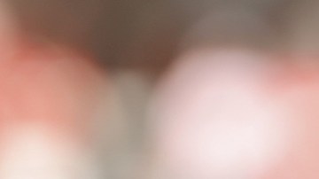 Publicación: Mar. 01 2025 Fotógrafo: Archivo/ Alejandro Pastrana Lugar: CIUDAD DE MÉXICO Formato: 1500 x 1000 JPG Documento: 393.0 KB Folio: 2515341