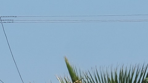 Rancho Izaguirre