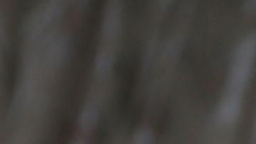 Raphy Pina demanda Daddy Yankee Mireddys González