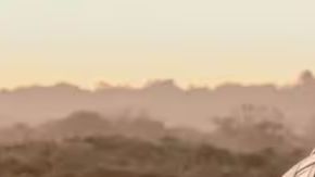 Referencia de la Jeep Renegade 2025