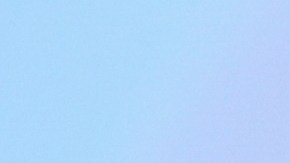 Reino Unido detecta el primer caso de gripe aviar en una oveja