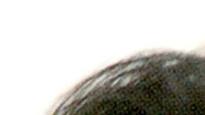 Familia de Selena Quintanilla agradece que la justicia mantenga encerrada a Yolanda Saldívar