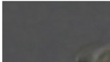 Yolanda Saldívar no saldrá de prisión tras rechazo a su solicitud de libertad condicional