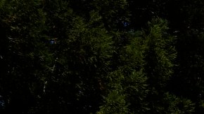 FILE--In this June 27, 2016, file photo, riders enjoy The New Revolution, a virtual reality roller coaster at Six Flags Magic Mountain in Valencia, Calif. Southern California's Six Flags Magic Mountain theme park will be open every day of the year beginning in 2018. (AP Photo/Christine Armario, file)