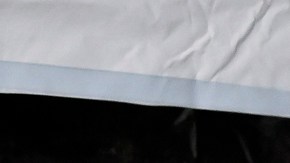 Sydney Sweeney y Glen Powell