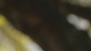 Sylvester Turner, representante por Texas