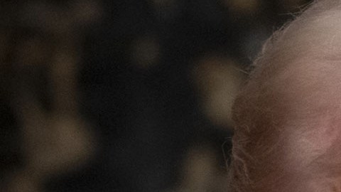 Donald Trump, presidente estadounidense