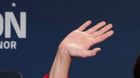 Tudor Dixon, política republicana